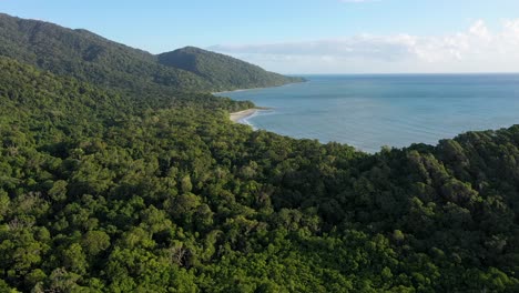 Cape-Tribulation-and-Daintree-Rainforest-aerial-over-lush-wilderness,-Queensland,-Australia