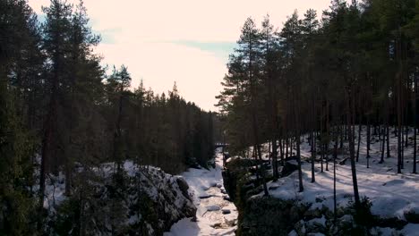 Vista-Aérea-De-Un-Río-Cubierto-De-Nieve-En-El-Bosque-Sueco-Durante-El-Invierno