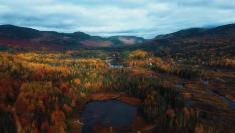 Aerial-drone-shot-of-forest-and-mountains-landscape,-fall-season-colours