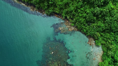 Aerial-birdseye-shot-of-calm-turquoise-sea-on-coast-of-Ubatuba,-Brazil