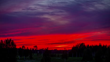 A-crimson-cloudscape-above-the-silhouetted-forest-trees---nightfall-time-lapse