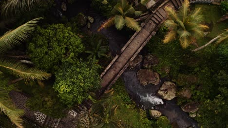 Peaceful-scene-of-footbridge-crossing-jungle-stream