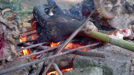 head-of-goat-burned-with-fire-from-firewood-by-stabbing-bamboo