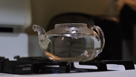 Front-side-medium-shot-view-of-boiling-water-in-a-clear-glass-tea-pot-on-a-white-stove