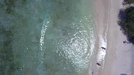 Strandspaziergang-Auf-Bunten-Decken-Liegend-Wunderbare-Luftaufnahme-Flug-Vogelperspektive-Drohnenaufnahmen-Von-Gili-T-Beach-Bali-Indonesien-Im-Sonnigen-Sommer-2017-Filmische-Ansicht-Von-Oben-Von-Philipp-Marnitz
