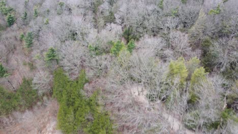 Drone-track-of-sand-dunes-in-early-spring-at-Lake-harbor-park