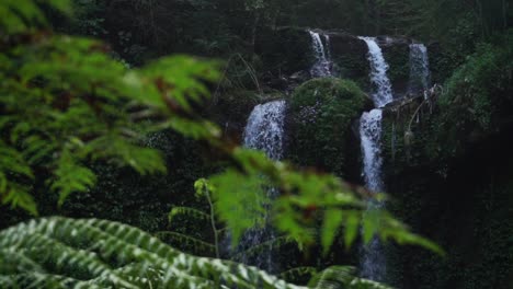 Wide-shot-of-cascading-waterfall-down-the-mossy-mountain-and-fern-leaves-in-foreground-defocused