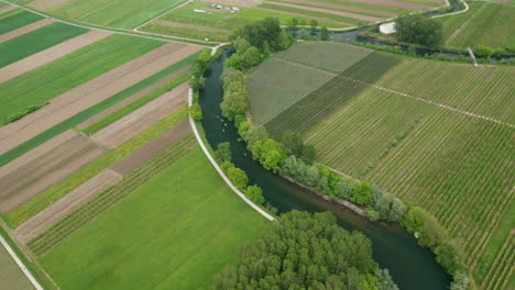 Drone-shot-of-river-Vipava-in-Slovenia-with-agriculture-fields-around-and-paddle-boarders