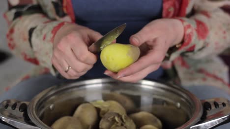 Langsam-Schälendes-Kartoffelgemüse-Für-Hausmannskost