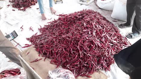 Pepper-seller-Sale-dry-red-pepper-chili-or-Mirchi-at-the-street-shop--Packing-Mirchi-Or-Red-Chili