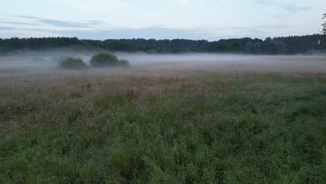 Early-morning-foggy-meadow-drone-flight