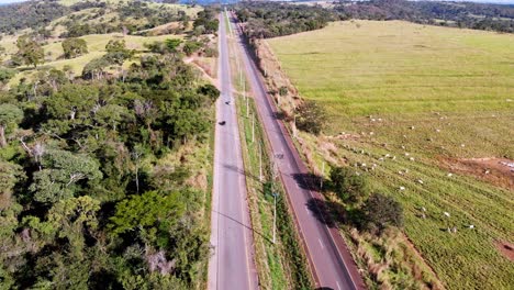 A-highway-through-the-countryside-with-sheep-grazing-in-the-field---descending-aerial-view