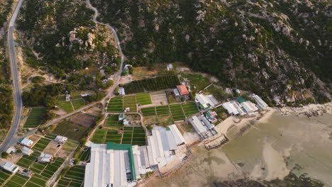Aerial-panorama-on-garlic-plantations-and-shrimp-farms