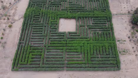 Drone-video-of-a-tree-maze-in-Lima,-Peru