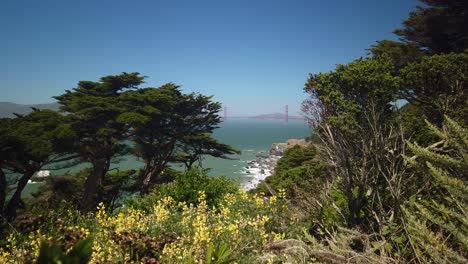 Handgehaltene-Statische-Aufnahme-Der-Legendären-Golden-Gate-Bridge-Durch-Bäume-Von-Der-Pazifischen-Ozeanseite-In-Der-Nähe-Von-Land&#39;s-End-In-San-Francisco