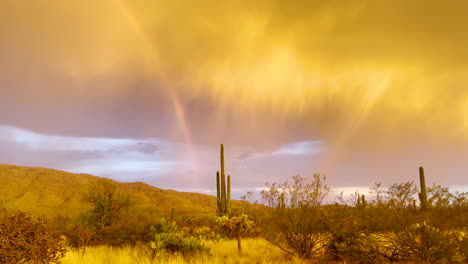 Schöner-Regenbogen-In-Der-Wüste-Von-Arizona-Mit-Saguaro-Kaktus