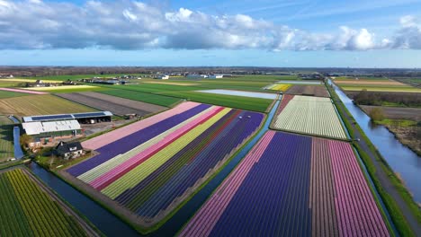 Landschaftsantenne-Von-Bollensteek,-Niederlande
