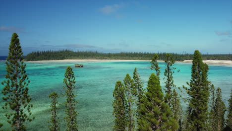 Aerial-push-in-through-Columnar-Pine-forest-towards-crystal-clear-bay,-Isle-of-Pines