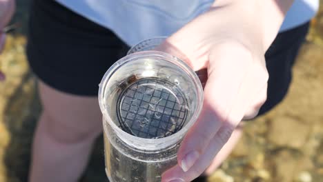 A-marine-scientist-conducting-field-research-observes-small-creatures-swimming-in-a-specimen-jar