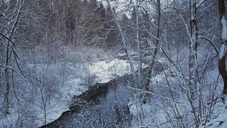 Monochrome-Of-A-Symsarna-River-Flowing-In-Winter-Forest-in-Lidzbark-Warmiński,-Poland