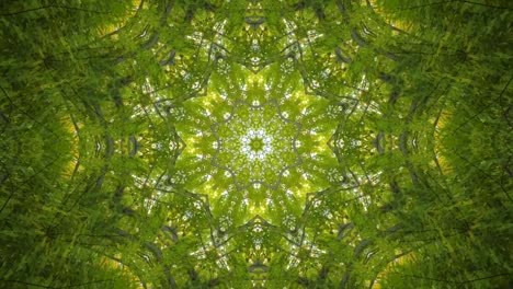 Kaleidoskop-Geometrisch-Animiertes-Muster-Abstrakt-Natur