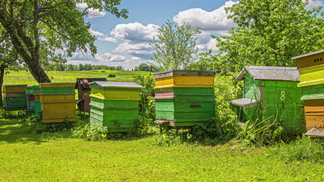 Zeitraffer-Von-Honigbienen,-Die-Pollen-Sammeln-Und-Mit-Einer-Sommerlichen-Wolkenlandschaft-Im-Hintergrund-Zum-Bienenstock-Zurückkehren