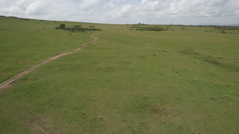 Antilopen-Genießen-In-Massai-Mara,-Kenia