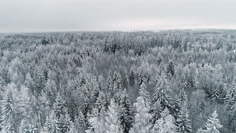 Aerial-pull-back-view-of-a-seemingly-endless-wintery-forest-then-reveal-a-frozen-tundra-wilderness