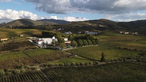 Aerial-view-of-Quinta-da-Pacheca-the-luxurious-Wine-House-Hotel-in-Lamego,-in-the-heart-of-the-Douro-region,-is-surrounded-by-extensive-private-grounds-with-vineyards
