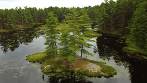 Filmischer-Langsamer-Drohnenflug-über-Eine-Kleine-Insel-Mit-Wachsenden-Nadelbäumen-Inmitten-Eines-Robusten-Sees,-Der-Die-Wunderschöne-Landschaft-Einfängt,-Die-Von-Immergrünen-Kiefernwäldern-Im-Provinzpark-In-Ontario-Umgeben-Ist