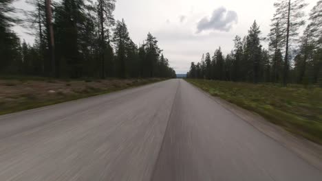 Vorbeifahren-An-Rentieren-In-Lappland-Schneller-Zeitraffer