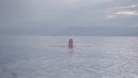 Attraktives-Junges-Mädchen,-Das-In-Einem-Bergsee-Schwimmt