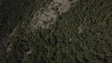 Disparo-Aéreo-De-Drones-Volando-Directamente-Sobre-El-Acantilado-De-La-Montaña-Por-El-Bosque
