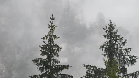 Rainy-day-in-Alpine-valley-with-low-clouds,-Logarska-dolina,-Slovenia,-clouds-and-fog-slowly-moving-behind-trees,-unpredictable-mountain-weather,-danger-for-hikers-and-climbers,-4k