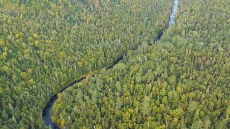 Drone-footage-flying-along-a-winding-river-in-the-forest-in-the-morning