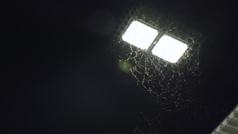 LED-Straßenlaterne-Mit-Spinnweben-über-Der-Bushaltestelle