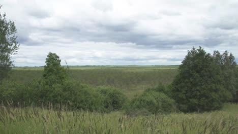Eine-Landschaftsaufnahme-Der-Lettischen-Natur-Mit-Bäumen-Auf-Einer-Insel-Mitten-In-Einem-Sumpf-Und-Dem-Wind