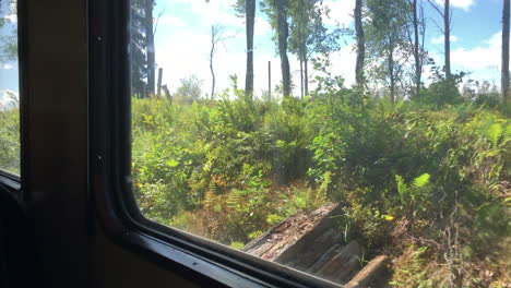 Blick-Durch-Die-Fenster-Eines-Alten-Orangefarbenen-Zugs---Triebwagen,-Die-Sich-Bewegen,-Außerhalb-Der-Vorbeiziehenden-Bäume