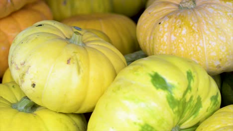 Zucchini-and-squash-for-sale-at-the-free-market,-panoramic-plan