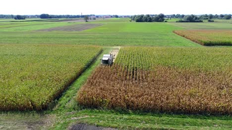4K-Aerial-slow-motion-shot-of-corn-being-harvested-by-big-combine-harvester-at-noon-on-agricultural-fields-in-Bavaria,-Germany