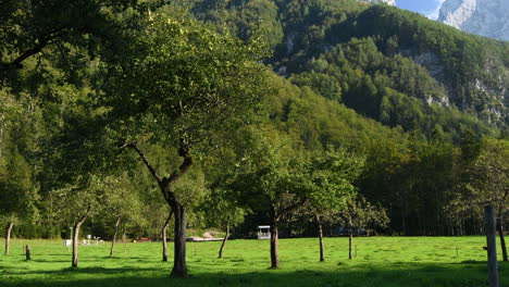 Huerto-De-Manzanos-En-Otoño,-Montañas-En-El-Fondo,-Logarska-Dolina,-Eslovenia,-Zoom-In-Shot