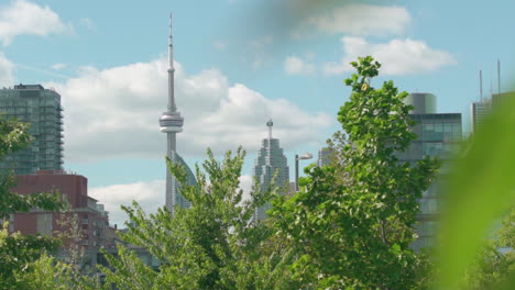 Blick-Auf-Den-Cn-Tower-Und-Andere-Gebäude-In-Der-Innenstadt-Von-Toronto-Mit-Blättern-Im-Vordergrund,-Die-In-Zeitlupe-Wehen