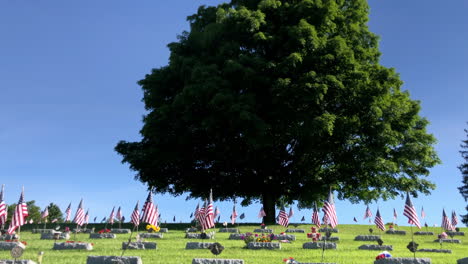 Gedenkfriedhof-Mit-Amerikanischen-Flaggen