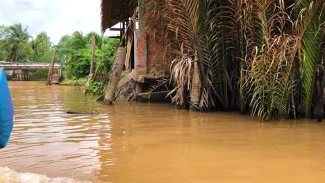 Bootsfahrt-Im-Mekong-Delta