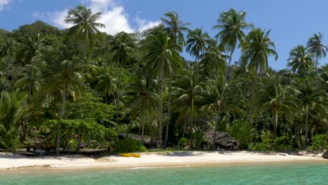 White-sandy-beach-with-coconut-palm-trees
