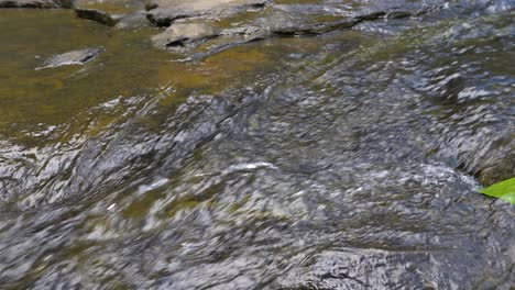 Ein-Grünes-Blatt,-Das-Auf-Wasser-Schwimmt,-Das-Flussabwärts-Fließt