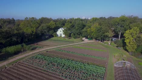 AERIAL:-Fly-over-and-tilt-down-of-a-farm-in-Austin,-Texas-with-the-Austin-skyline-peaking-over-the-tree-line