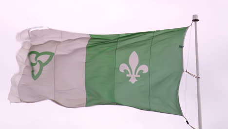 Tilt-Up-towards-the-Franco-Ontario-Flag,-waving-strong-in-the-wind