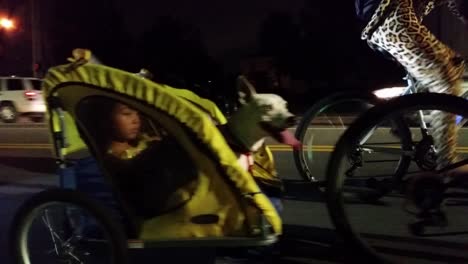 Nighttime-moving-panning-shot-of-small-child-and-dog-riding-in-bicycle-trailer-being-towed-by-mountain-bike-with-other-cyclists-in-background