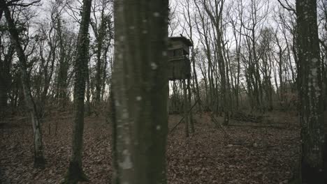 Jägerhaus-Aus-Holz-Mitten-Im-Wald